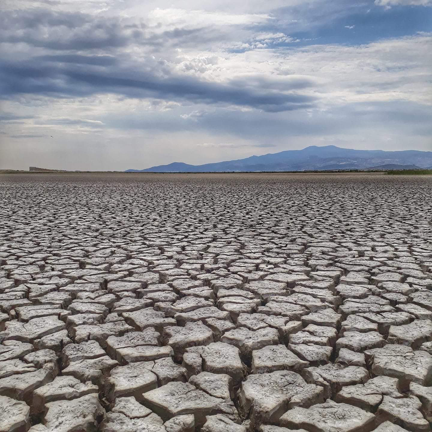 Засуха значение. Засуха Саладо Аргентина. Засуха на Кубани. Атмосферная засуха. Жара пустыня засуха.